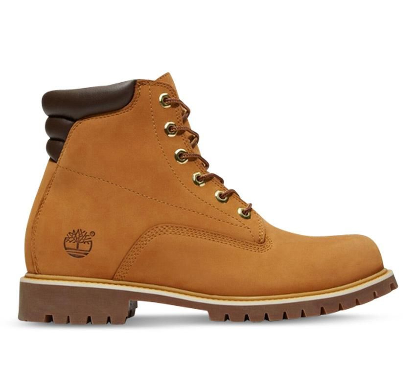 Footwear, Men's 6-Inch Alburn Boot