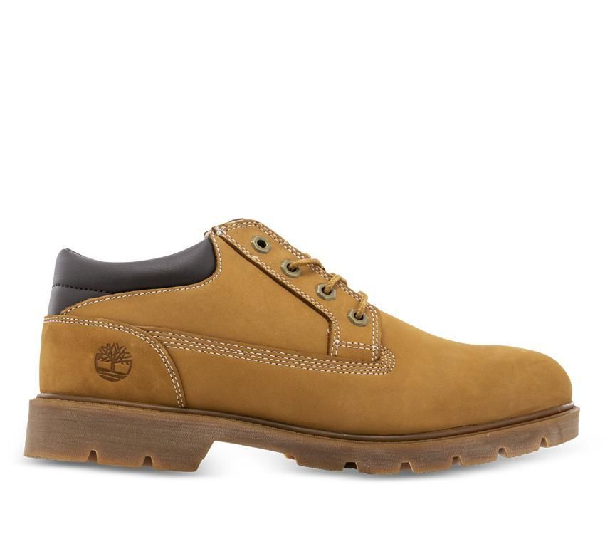 Footwear Men's Basic Oxford