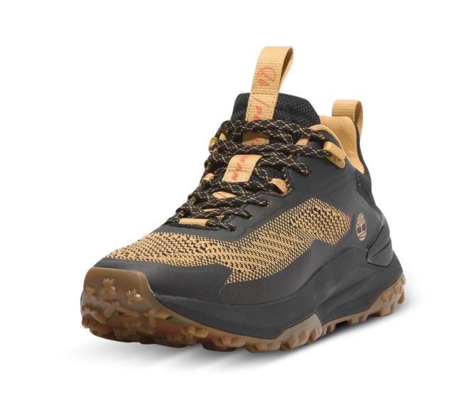 Shop Men's Motion Access Low Lace-Up Sneaker Online | Timberland