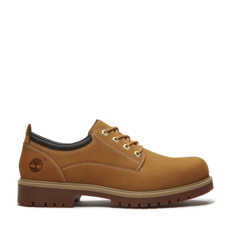 Men's Timberland® 25 Waterproof Shoe