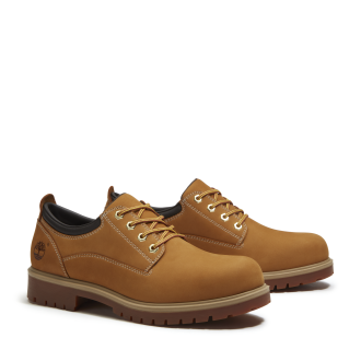 Men's Timberland® 25 Waterproof Shoe