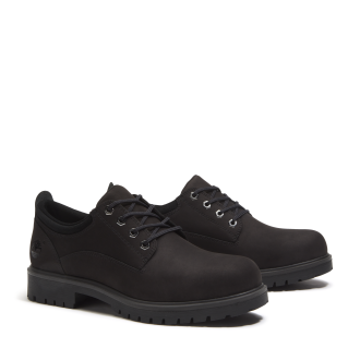 Men's Timberland® 25 Waterproof Shoe